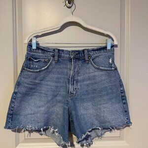 Abercrombie & Fitch High Rise Dad Short